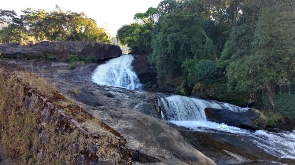 Wild Elephant Resort Munnar - Image 3