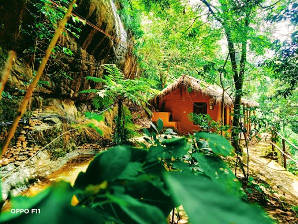 Golden Fern Resort - Image 4