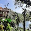 Noah's Nest Tree House - Image 13