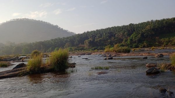 Athirapilly Polaris Resort - Image 5