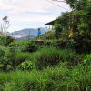 Forest view Paradise-Resort