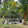 Evergreen Villa - Image 6