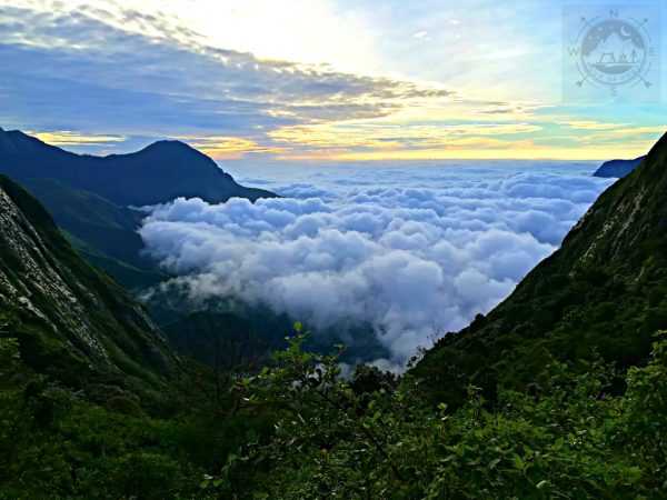 Cloud Farm Munnar - Image 10