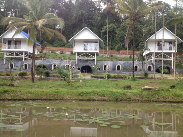 Cavern Wayanad-A Wandertrails Stay - Image 9