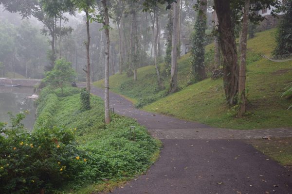 Amaana Plantation Resort - Image 4