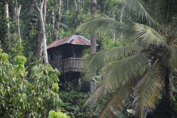 Amaana Plantation Resort - Image 8