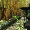 Sattva-The-Awakening-Garden resort