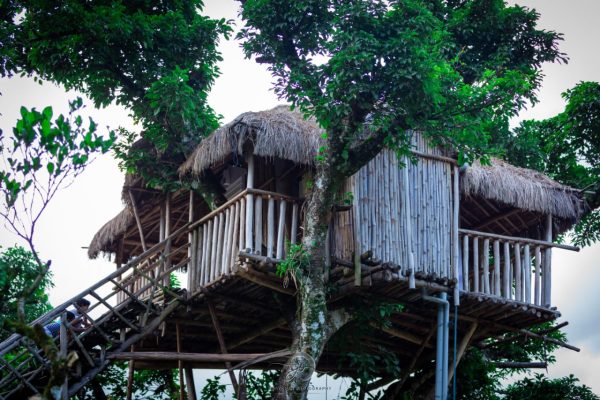 treehouse in Kanthalloor-moments-private-villa