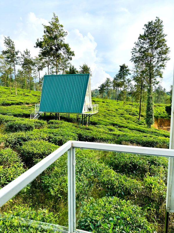 Tea Plantation A-frame stay in Wayanad - Image 11