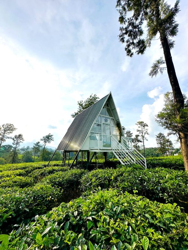 Tea Plantation A-frame stay in Wayanad