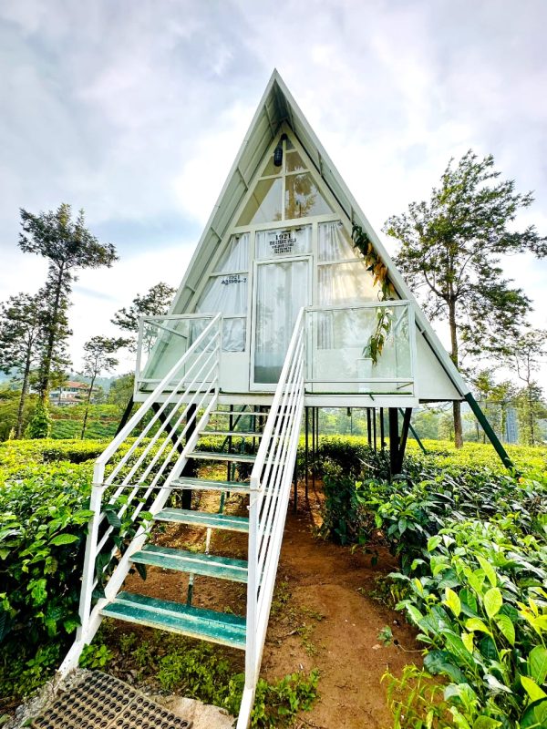 Tea Plantation A-frame stay in Wayanad - Image 12