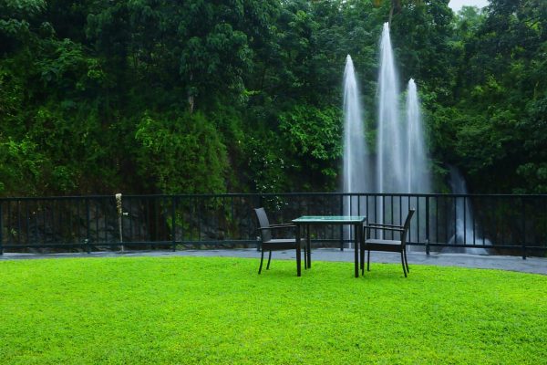 Athirappilly Green Trees Resorts - Image 4