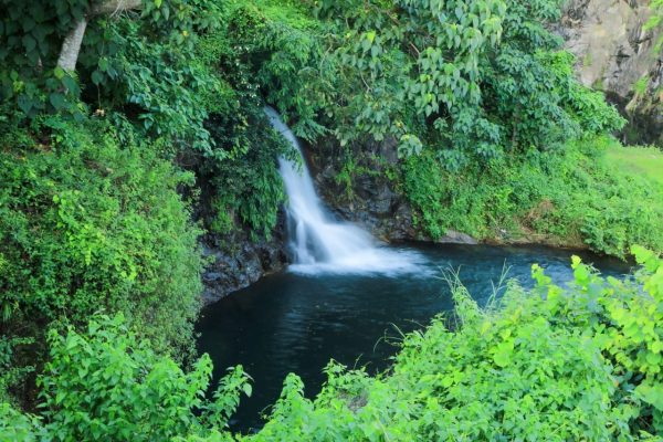 Athirappilly Green Trees Resorts - Image 5