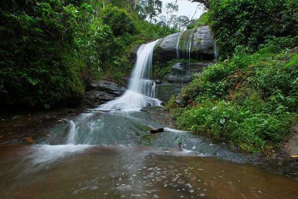 Bamboo Dale Resort - Image 6