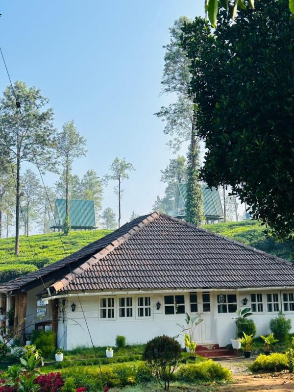 Tea Plantation A-frame stay in Wayanad - Image 5