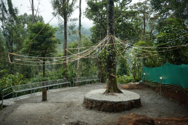 Wayanad 900 Kandi Tent Stay - Image 3