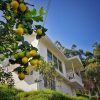 Cheeni Hill Resort - Image 2