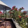 Cheeni Hill Resort - Image 13