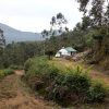 Cheeni Hill Resort - Image 20
