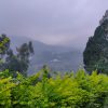 Cheeni Hill Resort - Image 7