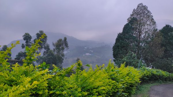 Cheeni Hill Resort - Image 7