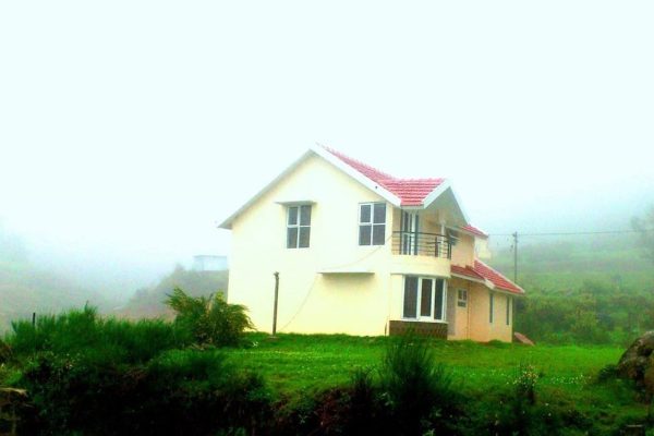 Forest View Cottages