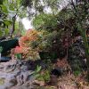 Home Park Homestay - Image 11