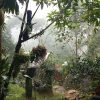Home Park Homestay - Image 5