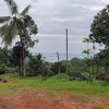Home Park Homestay - Image 9