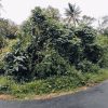 Home Park Homestay - Image 10