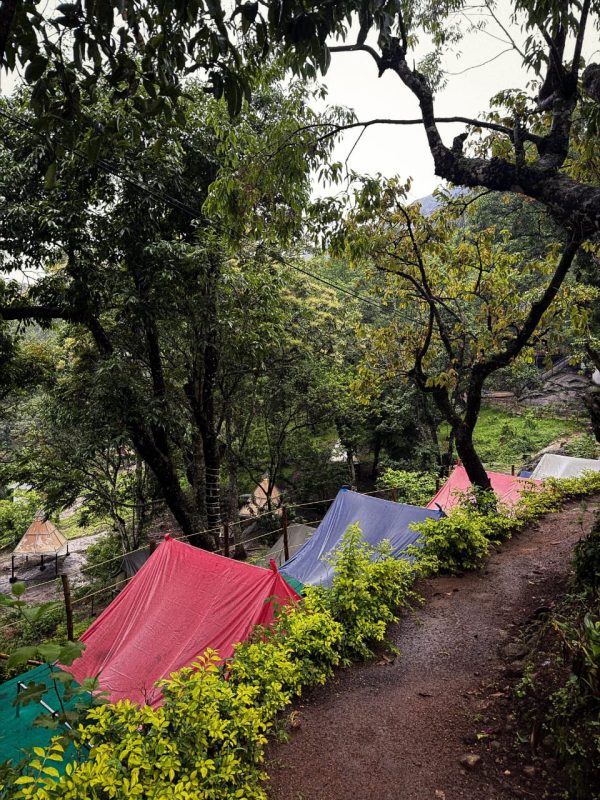 Kolukkumalai Sunrise Trekking with Waterfall Hiking - Image 20