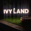 Ivy Land Homestay - Image 15