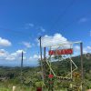 Ivy Land Homestay - Image 6