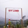 Ivy Land Homestay - Image 7