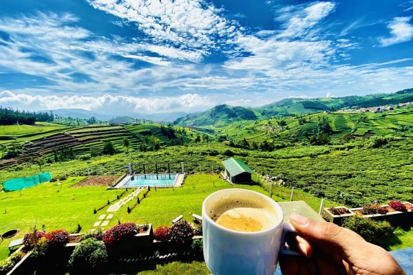 Mountain Trails Ooty - Image 11