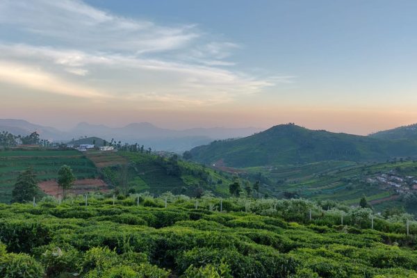 Mountain Trails Ooty - Image 4