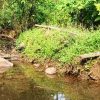 Stream Valley Homestay - Image 5