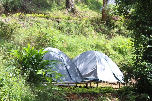 Kolukkumalai Sunrise Trekking with Waterfall Hiking - Image 7