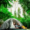 Wayanad 900 Kandi Tent Stay