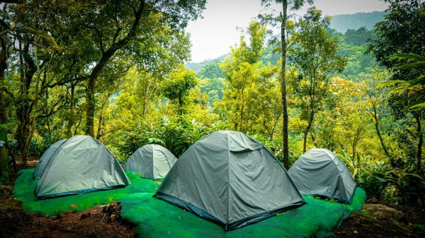 Wayanad 900 Kandi Tent Stay - Image 12