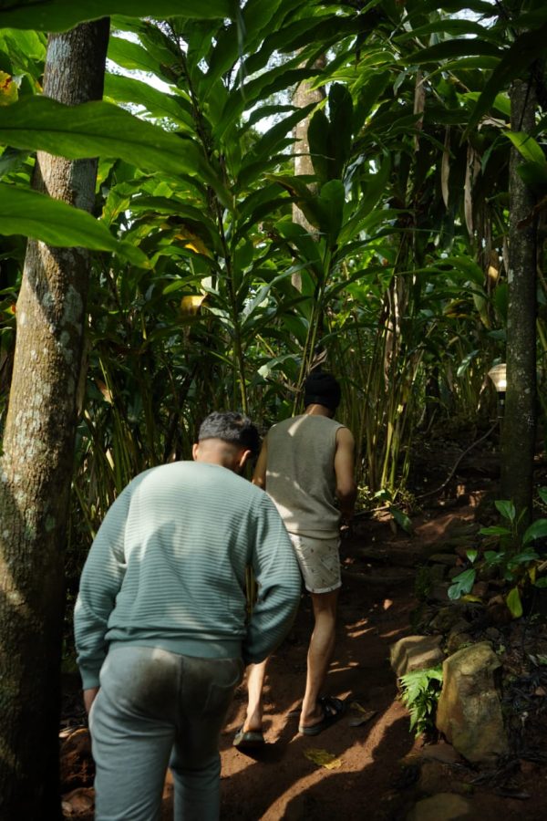 Wayanad 900 Kandi Tent Stay - Image 10