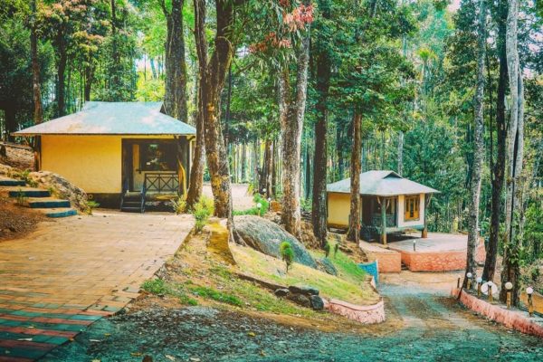 Vythiri Wild Forest Resort - Image 2