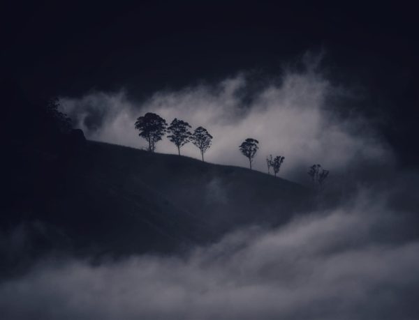 Cloud Farm Munnar - Image 2