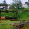 Broad bean resort and spa - Image 4