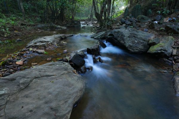 Abad Brookside Lakkidi Resort - Image 4