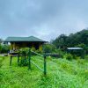 Paradise-Resort forest view