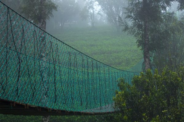 Dream Catcher Plantation Resort - Image 4