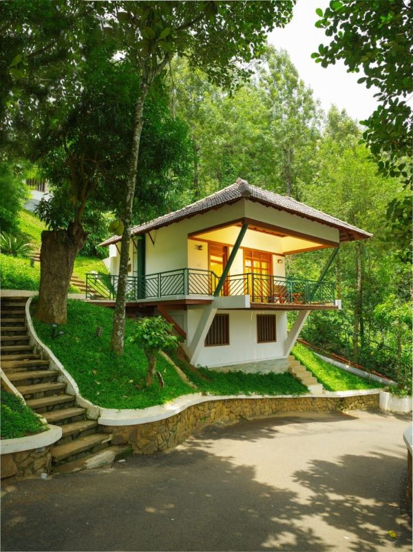 Forest Canopy Thekkady - Image 2