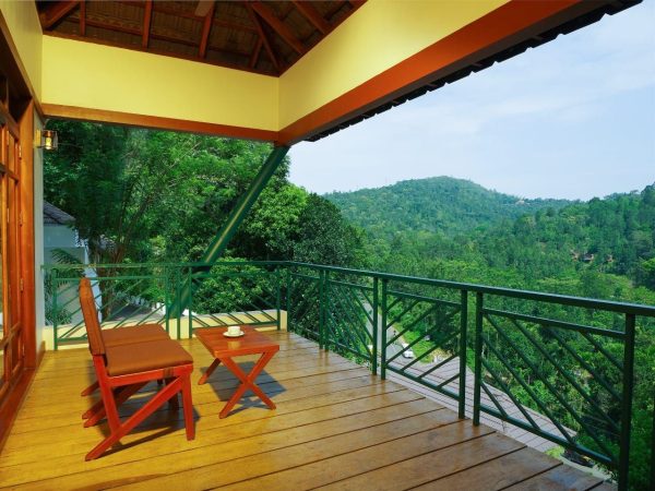 Forest Canopy Thekkady - Image 4