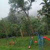 Forest Canopy Thekkady - Image 8
